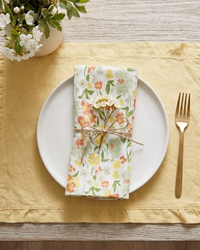 Floral Printed Cotton Napkin| Set of 2